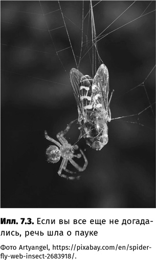 Иллюстрация к книге — Искусство обмана [i_044.jpg]