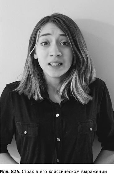 Иллюстрация к книге — Искусство обмана [i_057.jpg]