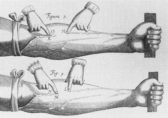Иллюстрация к книге — Врачи. Восхитительные и трагичные истории о том, как низменные страсти, меркантильные помыслы и абсурдные решения великих светил медицины помогли выжить человечеству [i_010.jpg]
