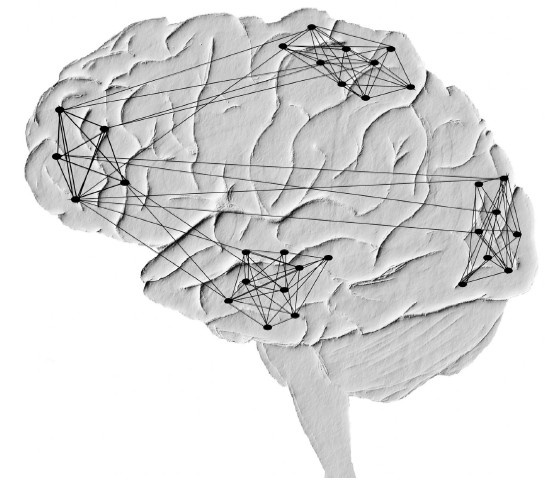 Иллюстрация к книге — Креативный мозг. Как рождаются идеи, меняющие мир [i_009.jpg]