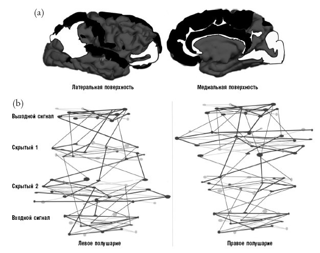 Иллюстрация к книге — Креативный мозг. Как рождаются идеи, меняющие мир [i_015.jpg]