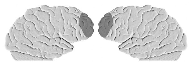 Иллюстрация к книге — Креативный мозг. Как рождаются идеи, меняющие мир [i_019.jpg]