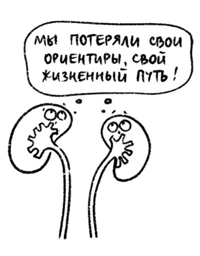 Иллюстрация к книге — Психосоматика на пальцах. Не верить, а проверить! [i_043.jpg]