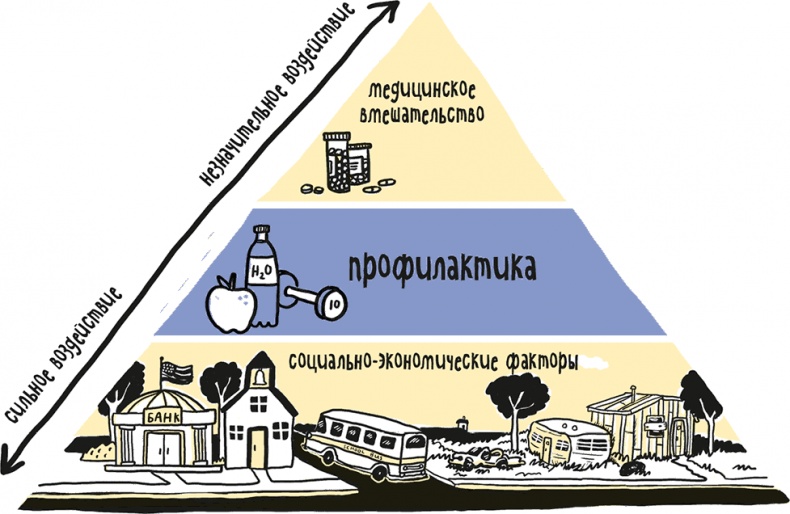 Иллюстрация к книге — Если бы наши тела могли говорить. Руководство по эксплуатации и обслуживанию человеческого тела [i_002.jpg]