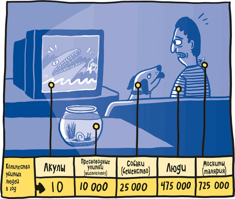 Иллюстрация к книге — Если бы наши тела могли говорить. Руководство по эксплуатации и обслуживанию человеческого тела [i_014.jpg]