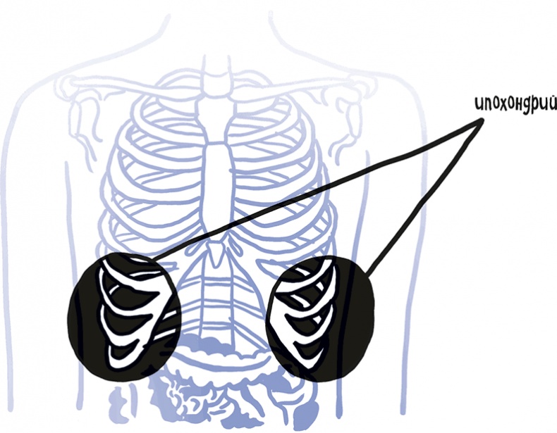 Иллюстрация к книге — Если бы наши тела могли говорить. Руководство по эксплуатации и обслуживанию человеческого тела [i_023.jpg]