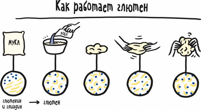 Иллюстрация к книге — Если бы наши тела могли говорить. Руководство по эксплуатации и обслуживанию человеческого тела [i_027.jpg]