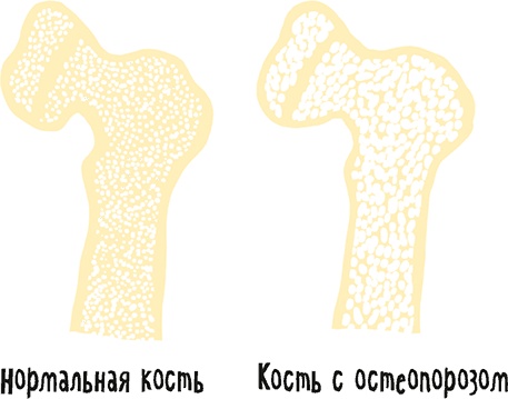 Иллюстрация к книге — Если бы наши тела могли говорить. Руководство по эксплуатации и обслуживанию человеческого тела [i_032.jpg]