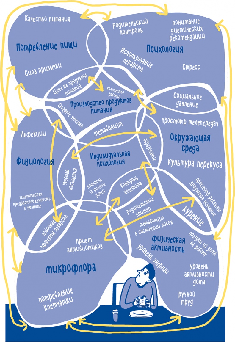 Иллюстрация к книге — Если бы наши тела могли говорить. Руководство по эксплуатации и обслуживанию человеческого тела [i_033.jpg]
