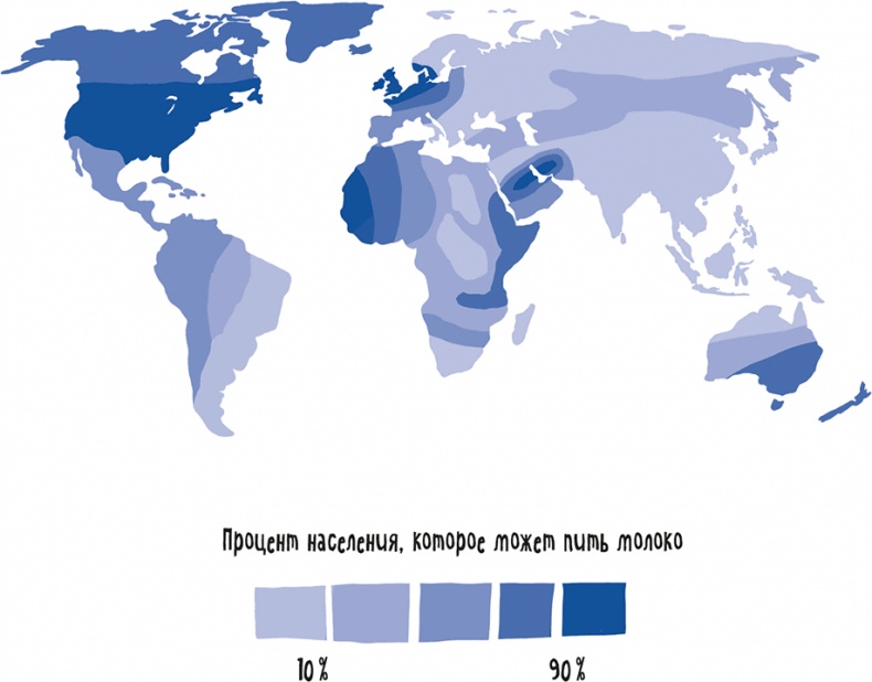 Иллюстрация к книге — Если бы наши тела могли говорить. Руководство по эксплуатации и обслуживанию человеческого тела [i_039.jpg]