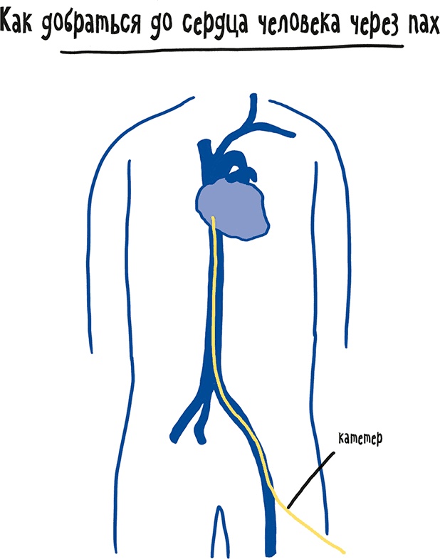 Иллюстрация к книге — Если бы наши тела могли говорить. Руководство по эксплуатации и обслуживанию человеческого тела [i_047.jpg]