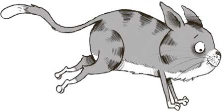 Иллюстрация к книге — Первое дело таксы [i_002.jpg]