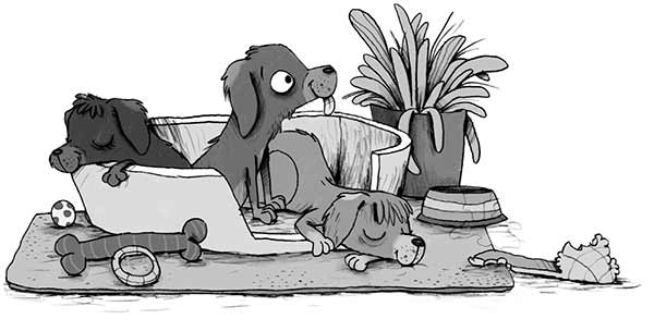 Иллюстрация к книге — Первое дело таксы [i_006.jpg]