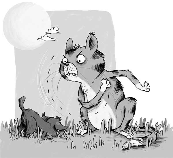 Иллюстрация к книге — Первое дело таксы [i_036.jpg]