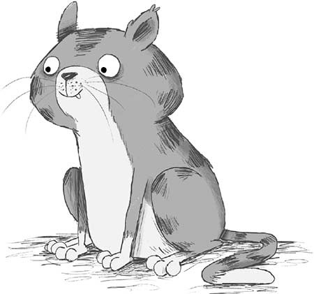 Иллюстрация к книге — Кошачий секрет [i_002.jpg]