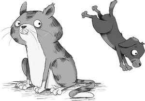 Иллюстрация к книге — Кошачий секрет [i_011.jpg]