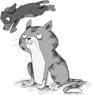 Иллюстрация к книге — Кошачий секрет [i_024.jpg]