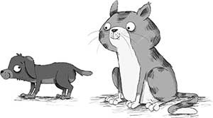 Иллюстрация к книге — Кошачий секрет [i_027.jpg]