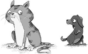 Иллюстрация к книге — Кошачий секрет [i_042.jpg]