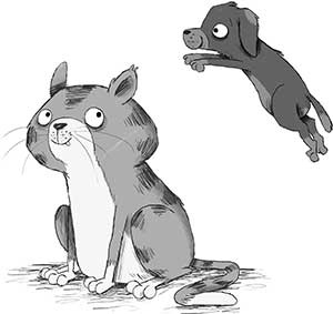 Иллюстрация к книге — Кошачий секрет [i_048.jpg]