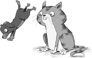 Иллюстрация к книге — Кошачий секрет [i_051.jpg]