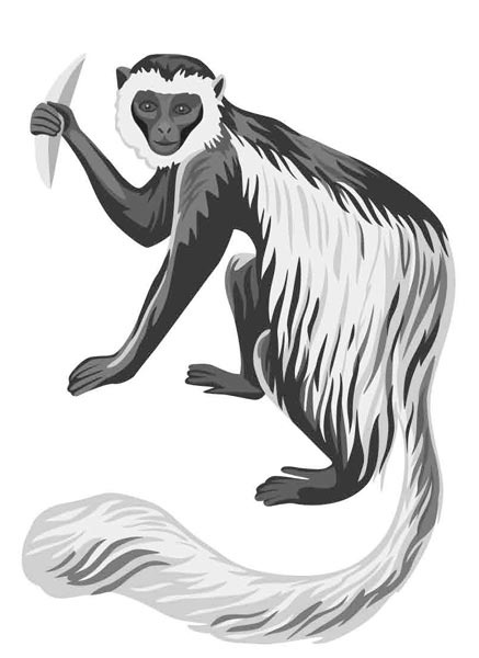 Иллюстрация к книге — Исследователь [i_010.jpg]