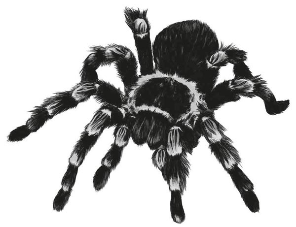 Иллюстрация к книге — Исследователь [i_014.jpg]