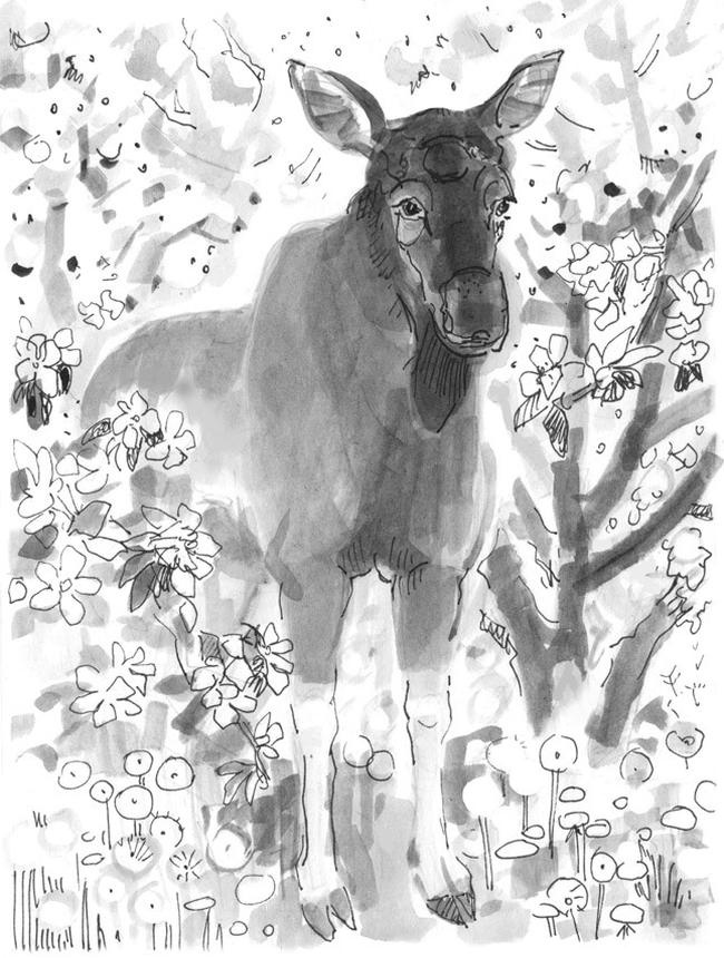 Иллюстрация к книге — Лось на диване, верветка на печи [i_002.jpg]