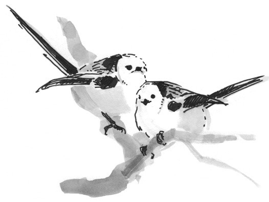 Иллюстрация к книге — Лось на диване, верветка на печи [i_003.jpg]