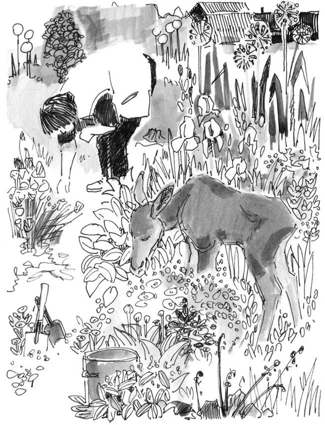 Иллюстрация к книге — Лось на диване, верветка на печи [i_007.jpg]