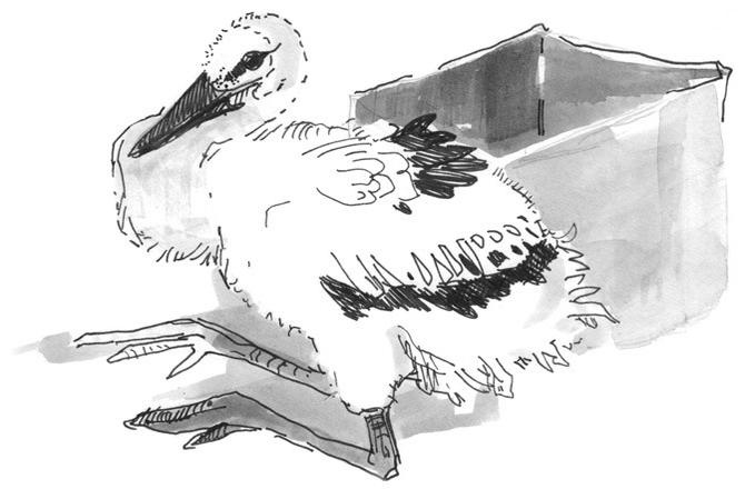 Иллюстрация к книге — Лось на диване, верветка на печи [i_008.jpg]