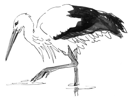 Иллюстрация к книге — Лось на диване, верветка на печи [i_011.jpg]