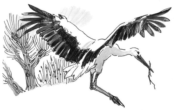 Иллюстрация к книге — Лось на диване, верветка на печи [i_015.jpg]