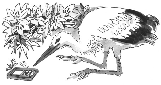 Иллюстрация к книге — Лось на диване, верветка на печи [i_016.jpg]