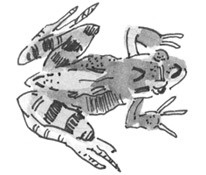 Иллюстрация к книге — Лось на диване, верветка на печи [i_017.jpg]