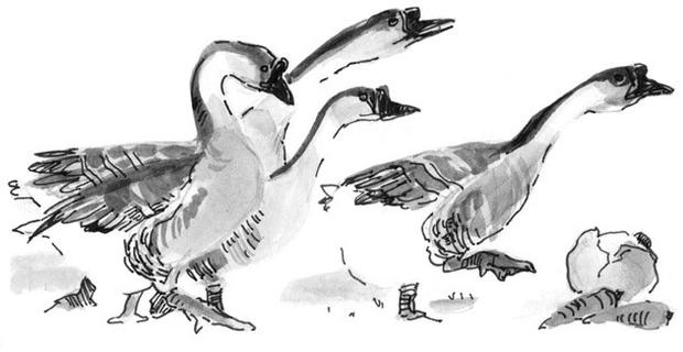 Иллюстрация к книге — Лось на диване, верветка на печи [i_021.jpg]