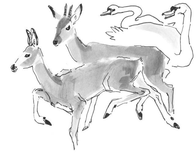 Иллюстрация к книге — Лось на диване, верветка на печи [i_022.jpg]