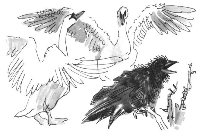 Иллюстрация к книге — Лось на диване, верветка на печи [i_028.jpg]