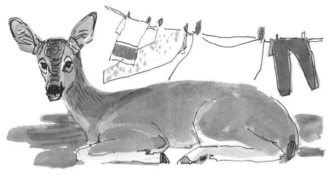 Иллюстрация к книге — Лось на диване, верветка на печи [i_033.jpg]