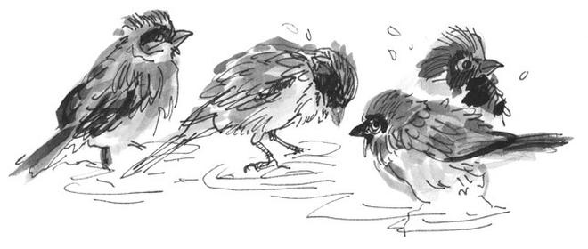 Иллюстрация к книге — Лось на диване, верветка на печи [i_034.jpg]