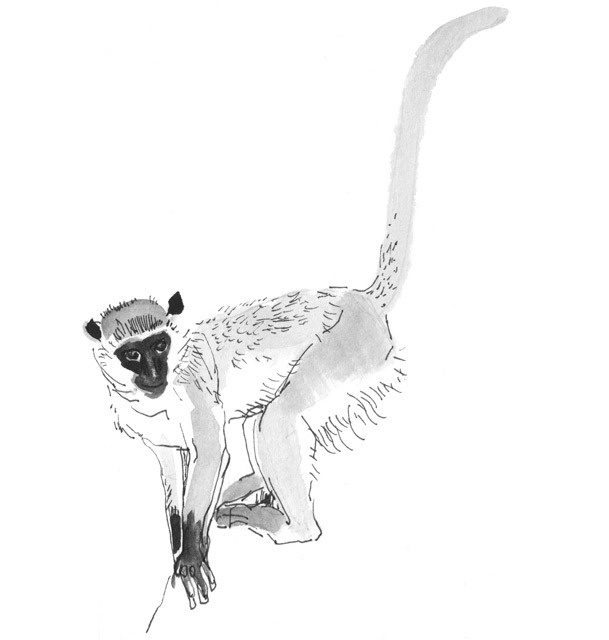 Иллюстрация к книге — Лось на диване, верветка на печи [i_035.jpg]