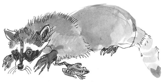 Иллюстрация к книге — Лось на диване, верветка на печи [i_041.jpg]