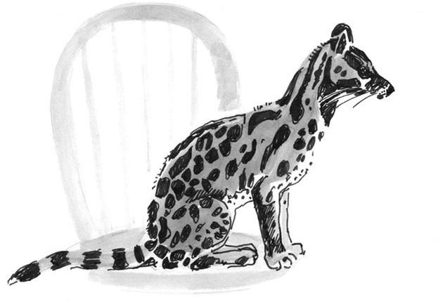 Иллюстрация к книге — Лось на диване, верветка на печи [i_042.jpg]