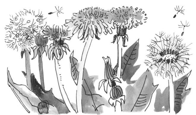 Иллюстрация к книге — Лось на диване, верветка на печи [i_049.jpg]