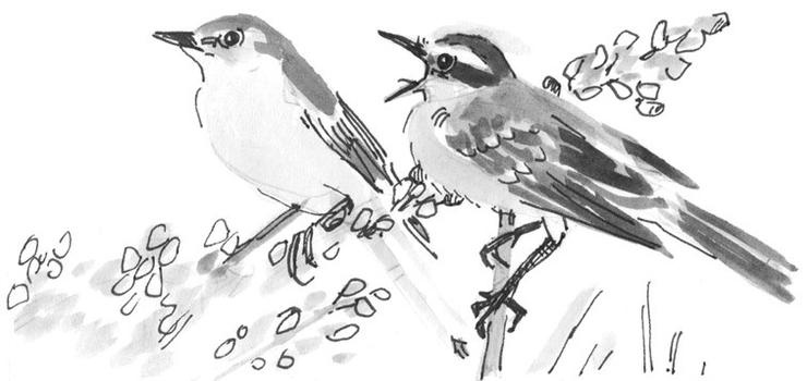 Иллюстрация к книге — Лось на диване, верветка на печи [i_050.jpg]