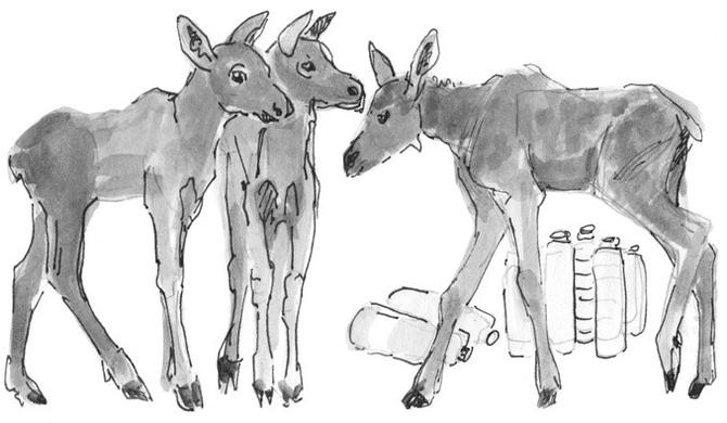 Иллюстрация к книге — Лось на диване, верветка на печи [i_053.jpg]