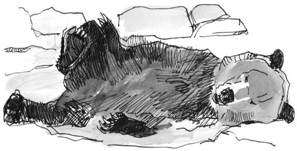 Иллюстрация к книге — Лось на диване, верветка на печи [i_059.jpg]