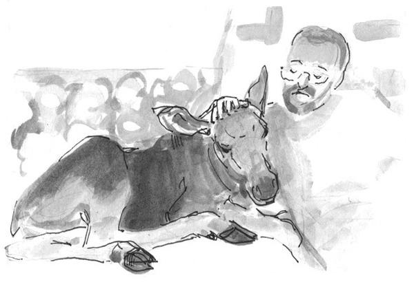 Иллюстрация к книге — Лось на диване, верветка на печи [i_065.jpg]