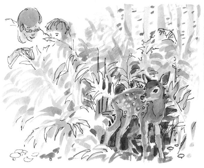 Иллюстрация к книге — Лось на диване, верветка на печи [i_066.jpg]