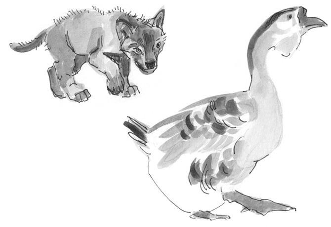 Иллюстрация к книге — Лось на диване, верветка на печи [i_071.jpg]